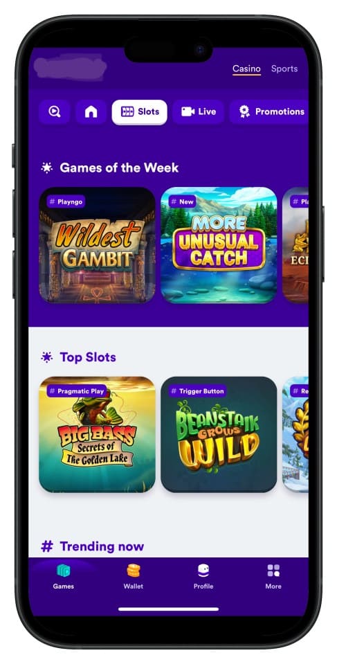 Screenshot showing bd333 App interface with intuitive menus and game choices